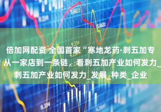 倍加网配资 全国首家“寒地龙药·刺五加专营店”1日启幕 ! 从一家店到一条链，看刺五加产业如何发力_发展_种类_企业