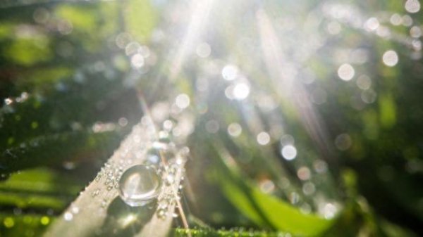 正中优配 阳光准时复工，上海首个工作日最高28℃，本周还有一场雨