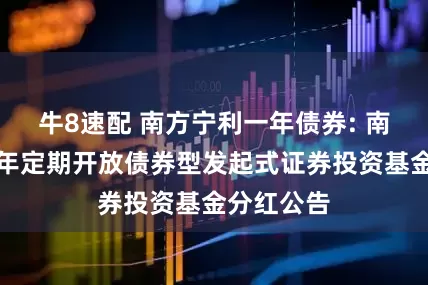 牛8速配 南方宁利一年债券: 南方宁利一年定期开放债券型发起式证券投资基金分红公告