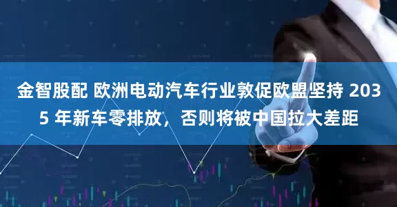 金智股配 欧洲电动汽车行业敦促欧盟坚持 2035 年新车零排放，否则将被中国拉大差距