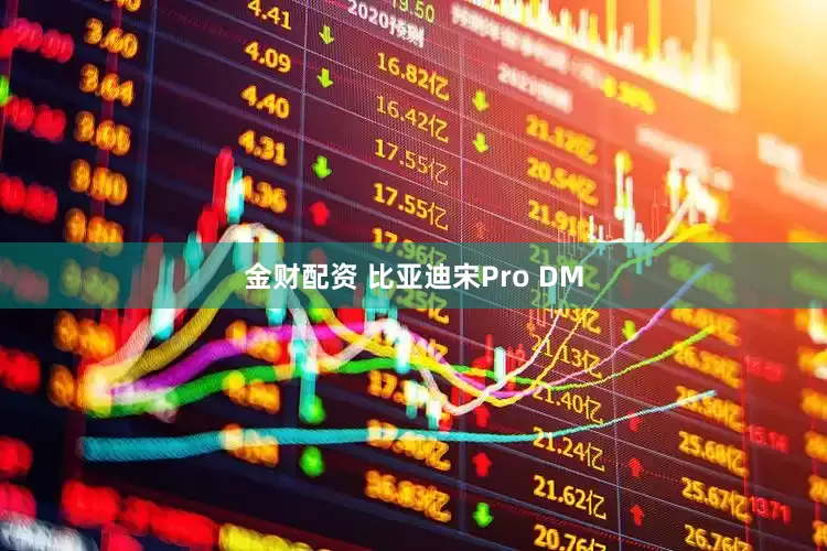 金财配资 比亚迪宋Pro DM