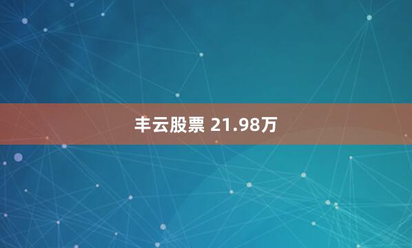 丰云股票 21.98万